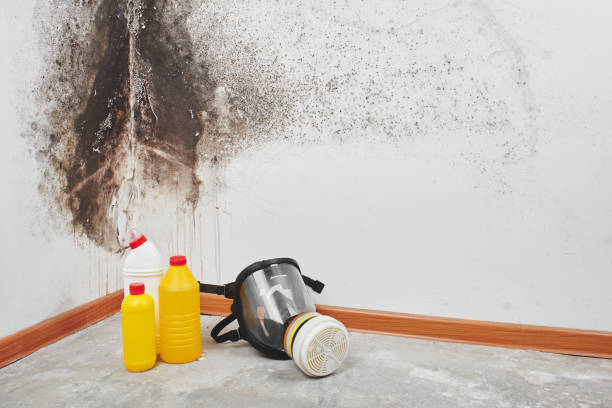 Best HVAC Mold Remediation in Hazlehurst, GA