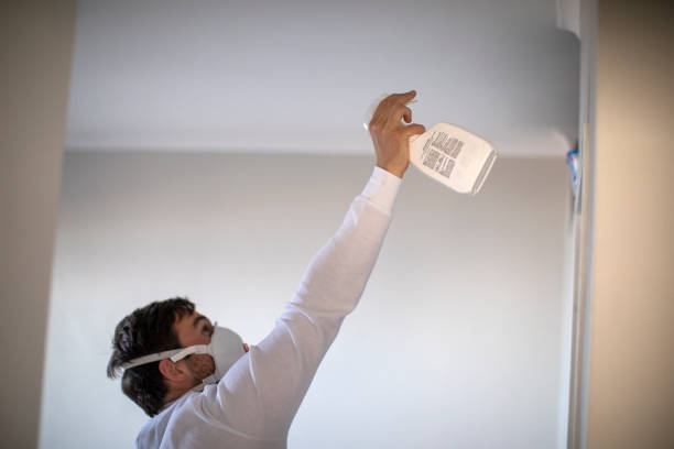 Best Health and Safety Mold Remediation in Hazlehurst, GA