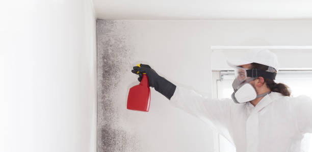 Best Industrial Mold Remediation in Hazlehurst, GA