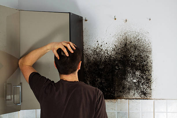 Best Mold Remediation for Specific Building Types in Hazlehurst, GA
